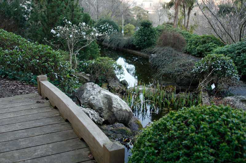 ландшафтный дизайн в ботаническом саду Рима