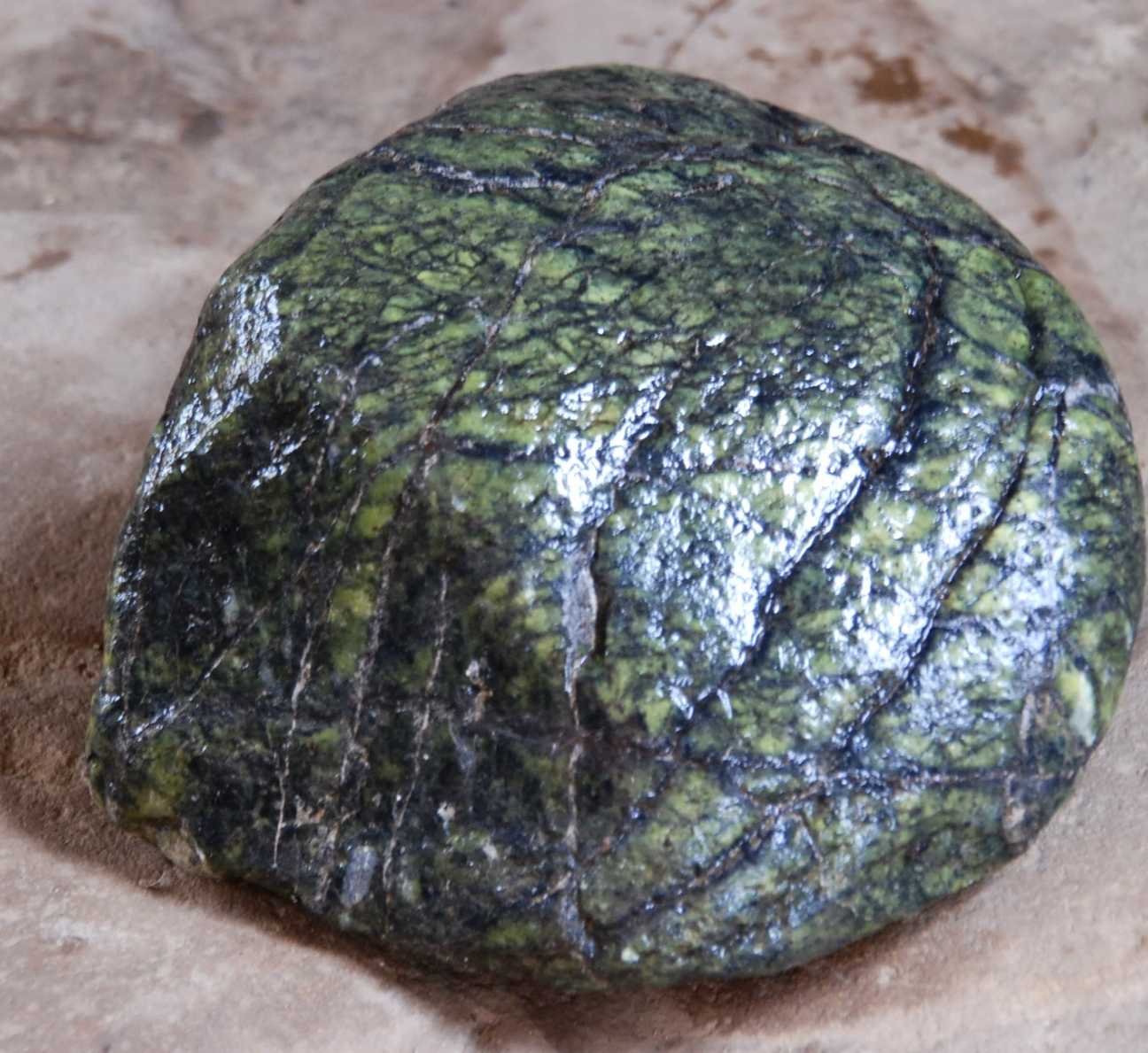 Камень, Змеевик, Серпентини́т, Цвет варьируется от жёлто-зелёного дотёмно-зелёного.