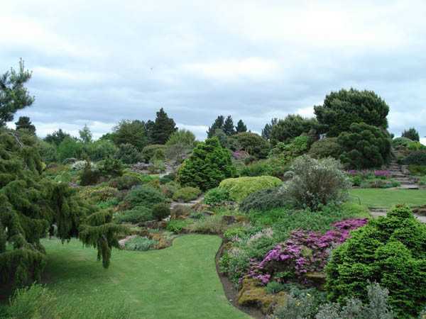 ландшафтный дизайн: королевский ботанический сад Эдинбурга 