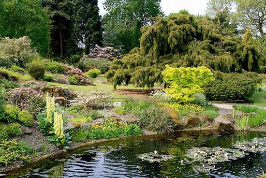 Королевский ботанический сад Эдинбурга 